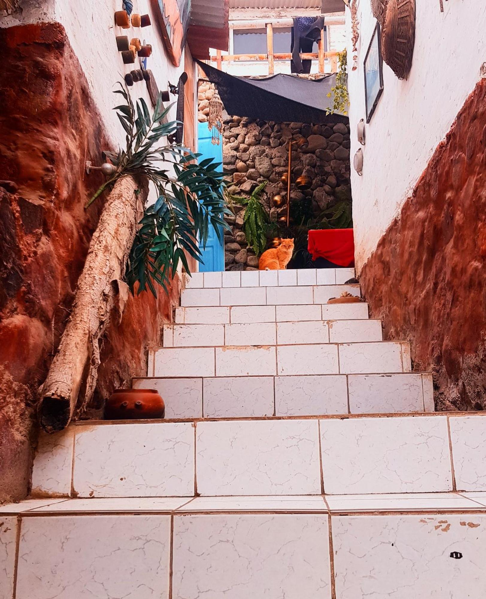 Ferienwohnung Huanchaco Surf Camp Exterior foto
